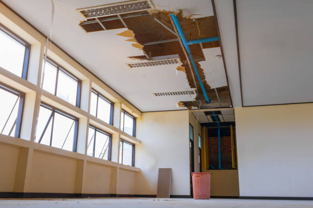 Best Flood damage cleanup  in Fountain Valley, CA