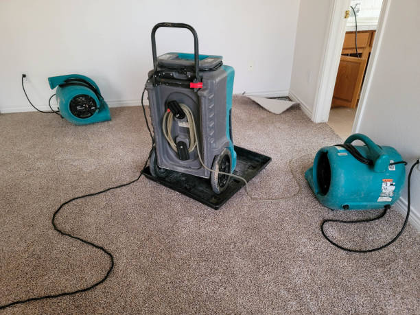 Best Fire Damage Restoration  in Fountain Valley, CA
