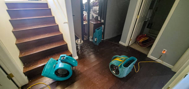 Best Mold removal after water damage  in Fountain Valley, CA