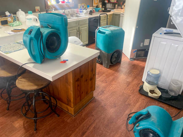 Best Residential water damage restoration  in Fountain Valley, CA