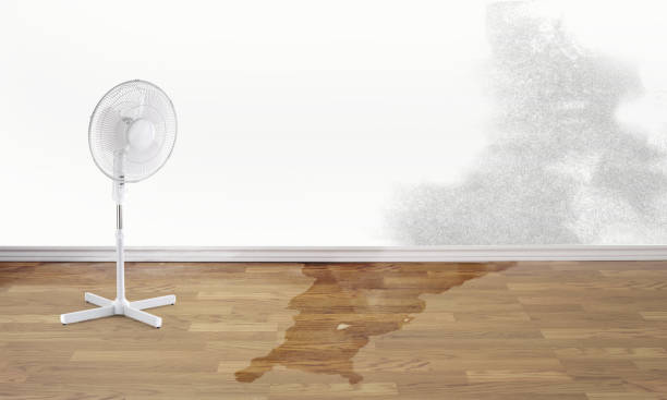 Best Water damage restoration specialists  in Fountain Valley, CA