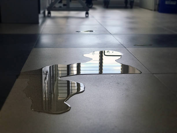 Best Carpet water damage restoration  in Fountain Valley, CA
