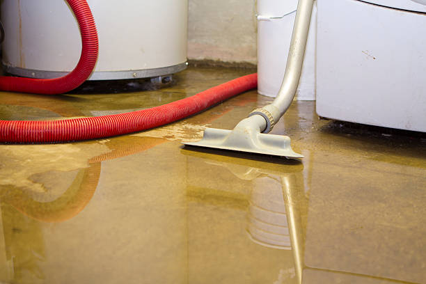 Best Water damage contractors near me  in Fountain Valley, CA