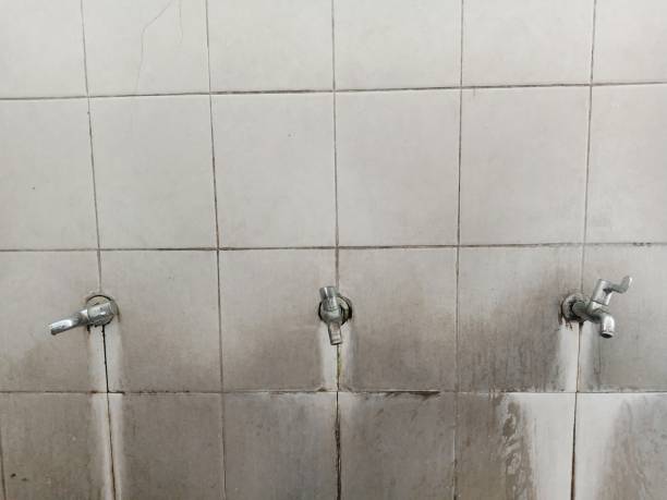 Best Mold removal after water damage  in Fountain Valley, CA