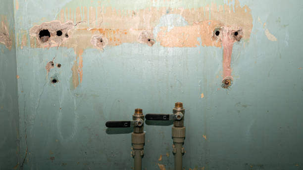 Best Carpet water damage restoration  in Fountain Valley, CA