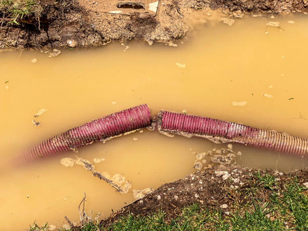 Best 24-hour water damage restoration  in Fountain Valley, CA